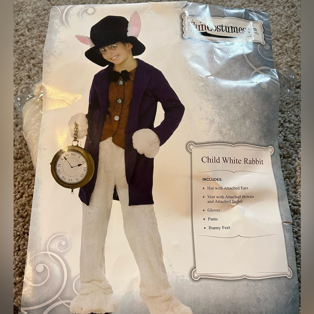 Halloween Costume; Child’s Medium